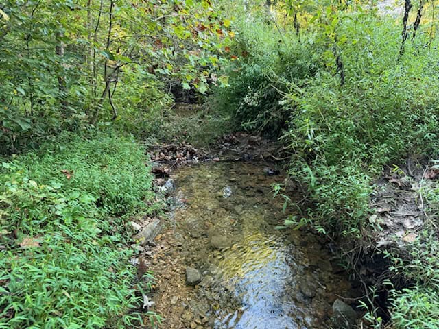 SOUTHFORK RIVER FRONTAGE PROPERTY WITH DEVELOPMENT POTENTIAL