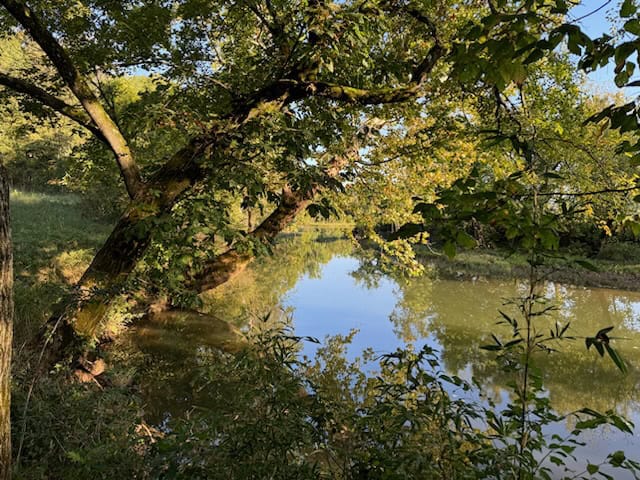 SOUTHFORK RIVER FRONTAGE PROPERTY WITH DEVELOPMENT POTENTIAL