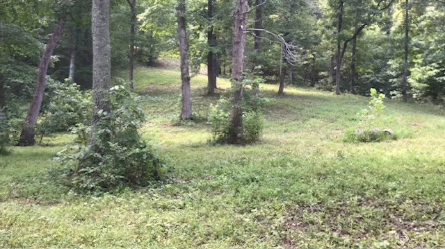 SOUTHFORK RIVER FRONTAGE PROPERTY WITH DEVELOPMENT POTENTIAL
