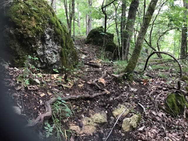 SOUTHFORK RIVER FRONTAGE PROPERTY WITH DEVELOPMENT POTENTIAL