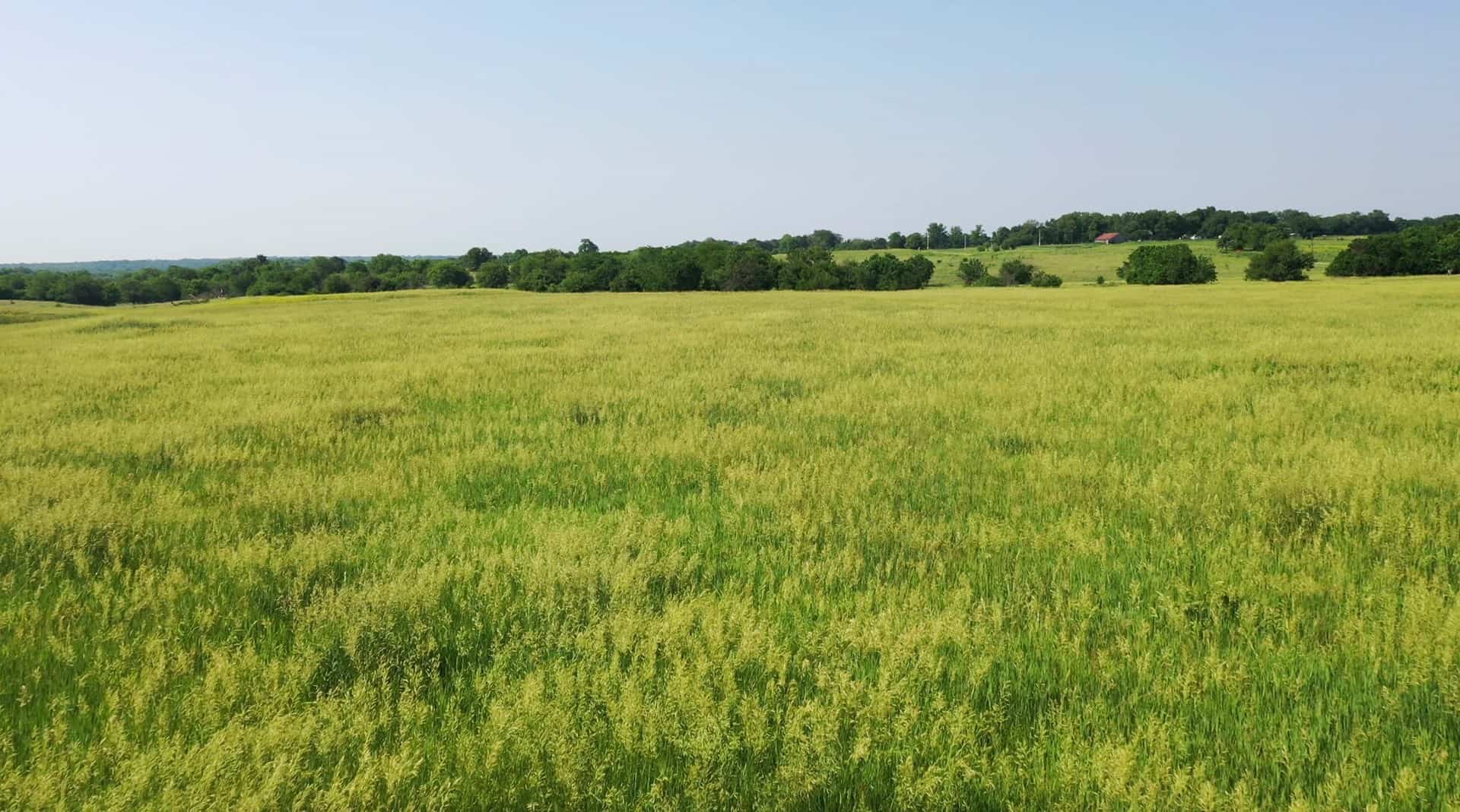 Osage County Kansas Pasture and Recreational Property