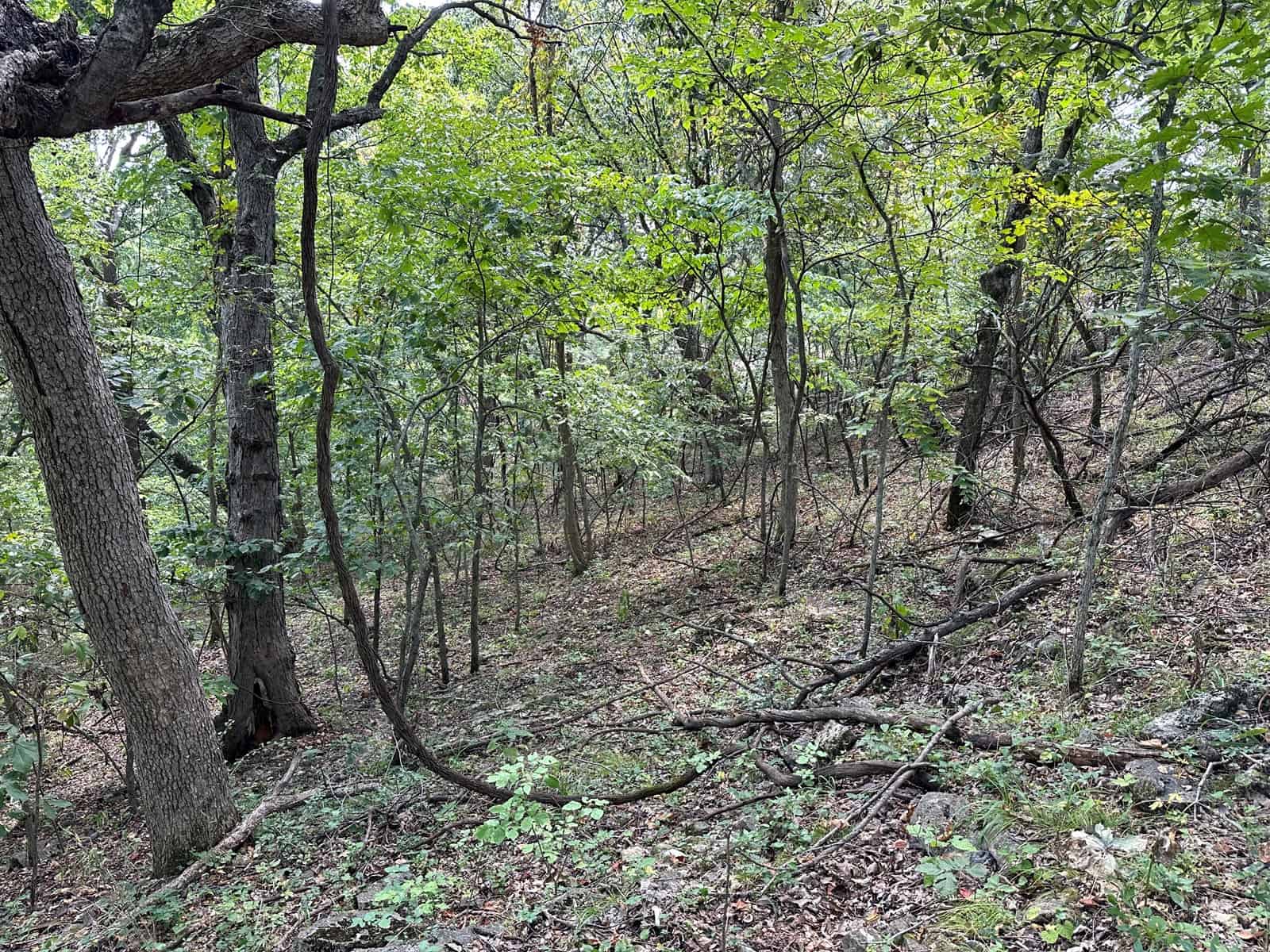 Linn County Kansas Honey Hole