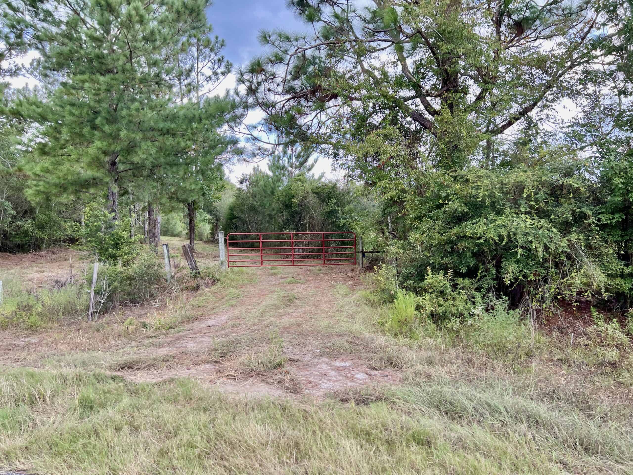 Prime Riverfront Hunting & Recreational Land for Sale in Samson Alabama!