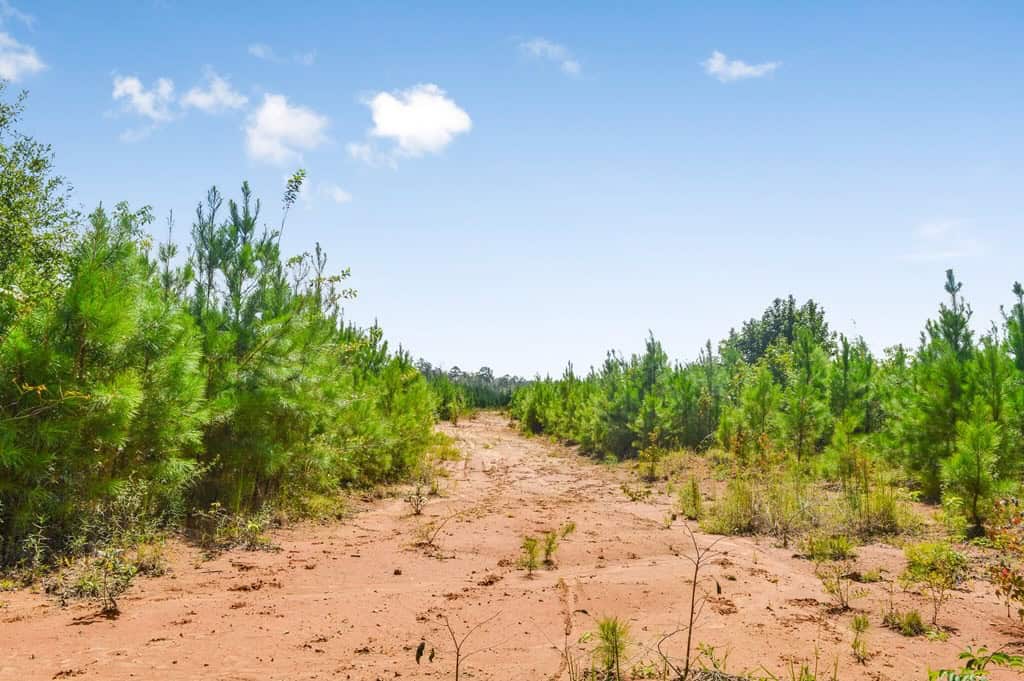 200 Acres of Land for Sale in North Pike School District