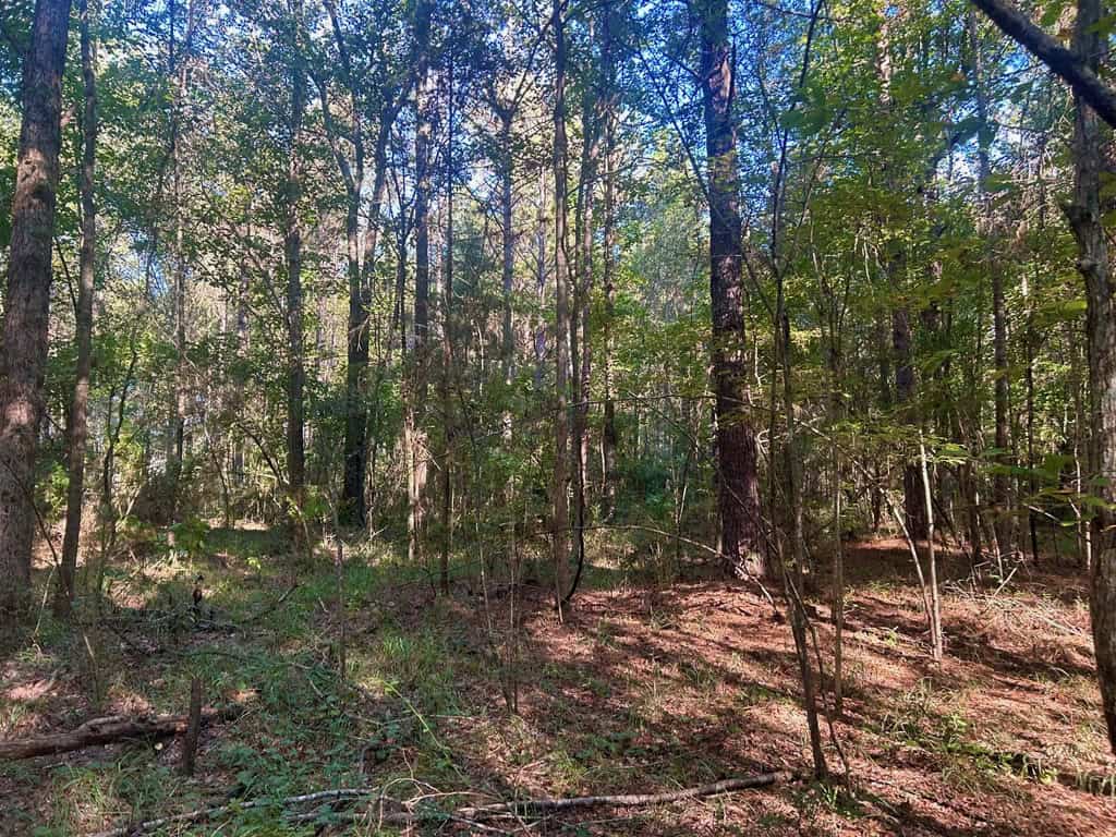 Brookhaven MS 19.7+- Acres for Sale