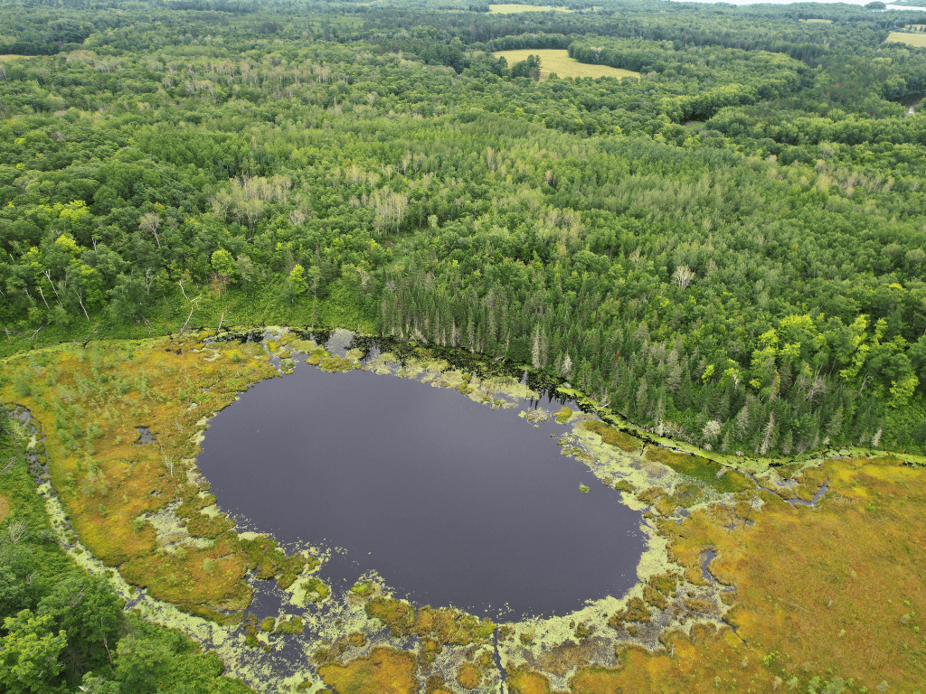 47 Ac Mississippi River Hunting Property Near Crosby, Minnesota