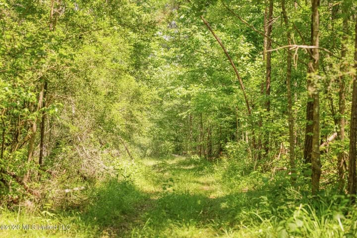 120 Acre Hunter’s Paradise in South MS for Sale