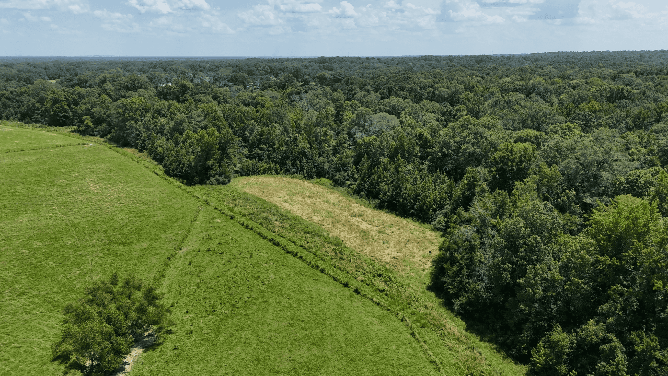 194 Acre Hunting, Homesite, and Pastureland for Sale