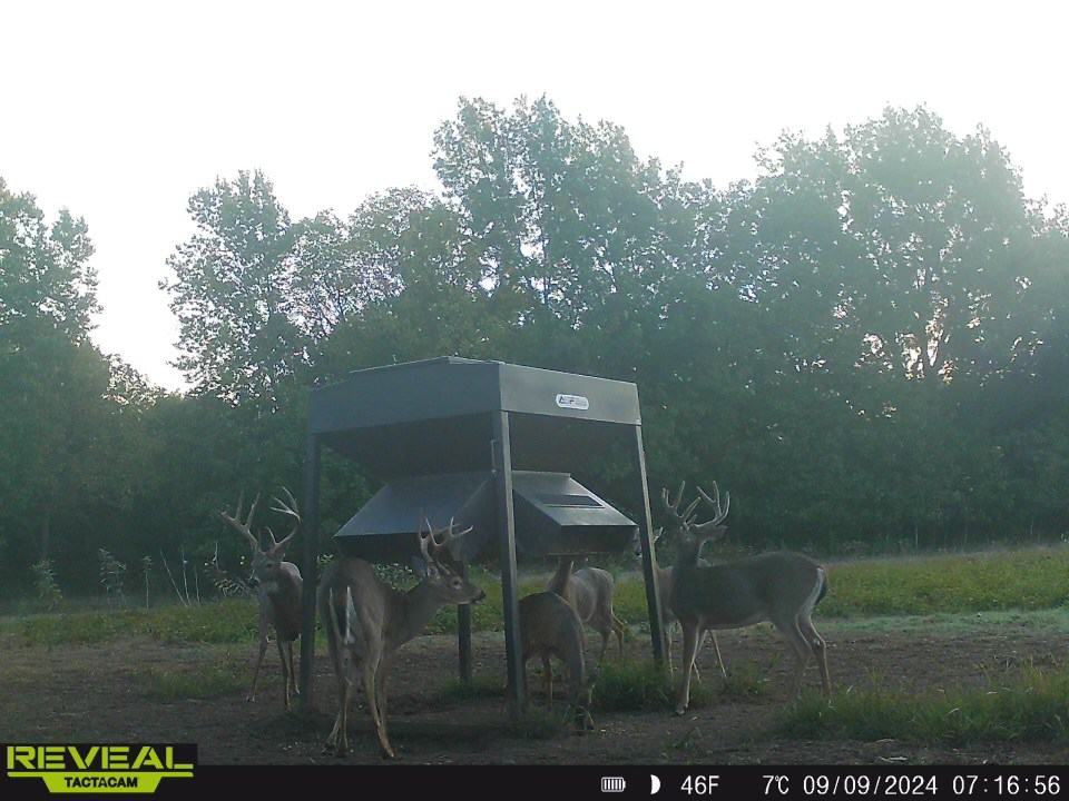 Linn County Kansas Honey Hole