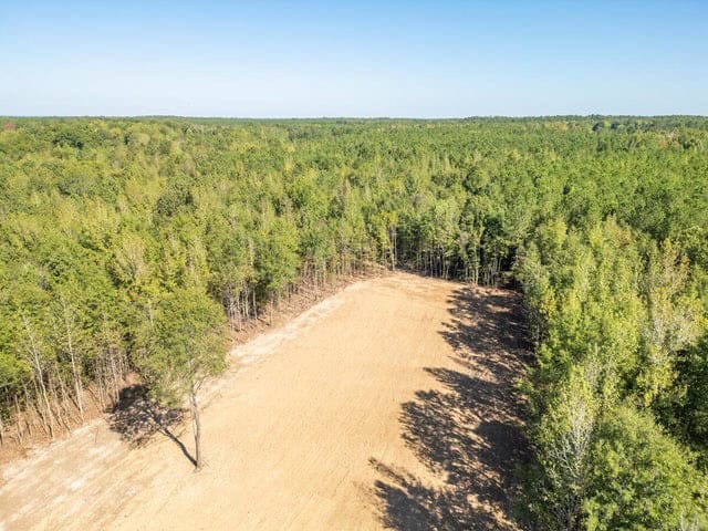 Cypress Lake 127 Acres in Starkville MS