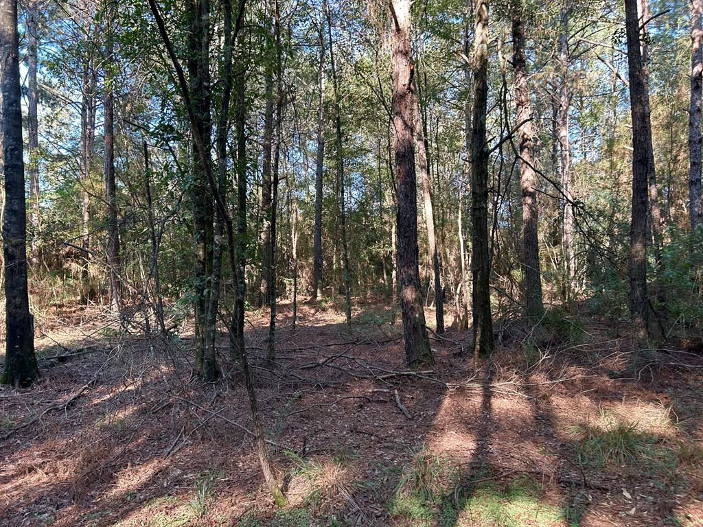 Brookhaven MS 19.7+- Acres for Sale