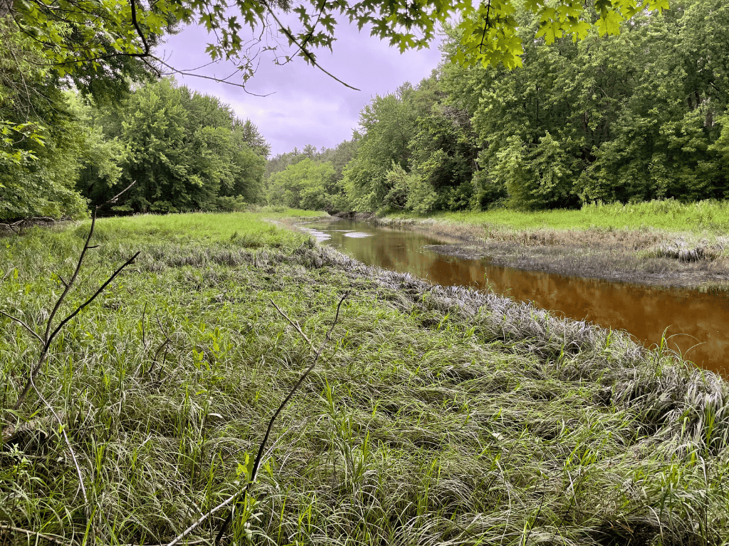 47 Ac Mississippi River Hunting Property Near Crosby, Minnesota