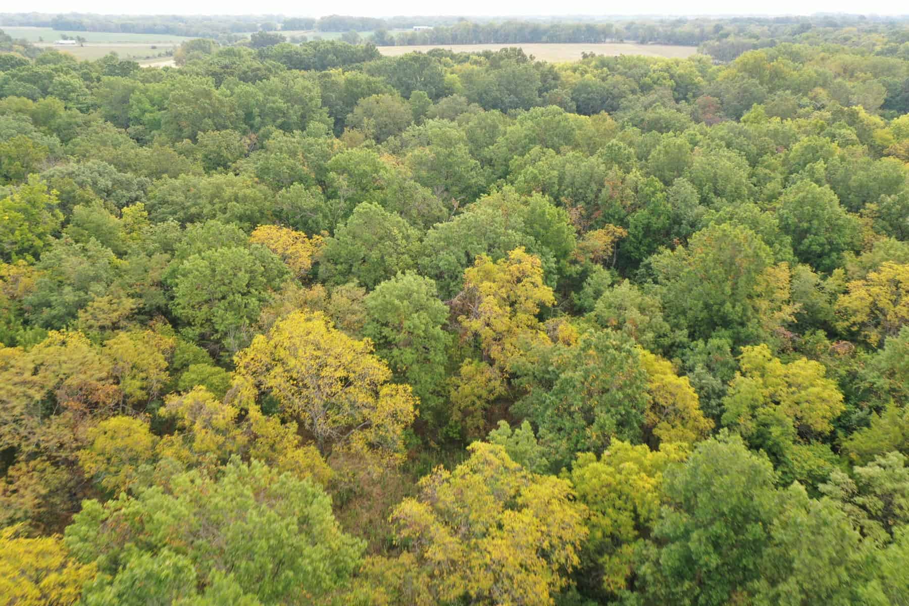 Linn County Kansas 37