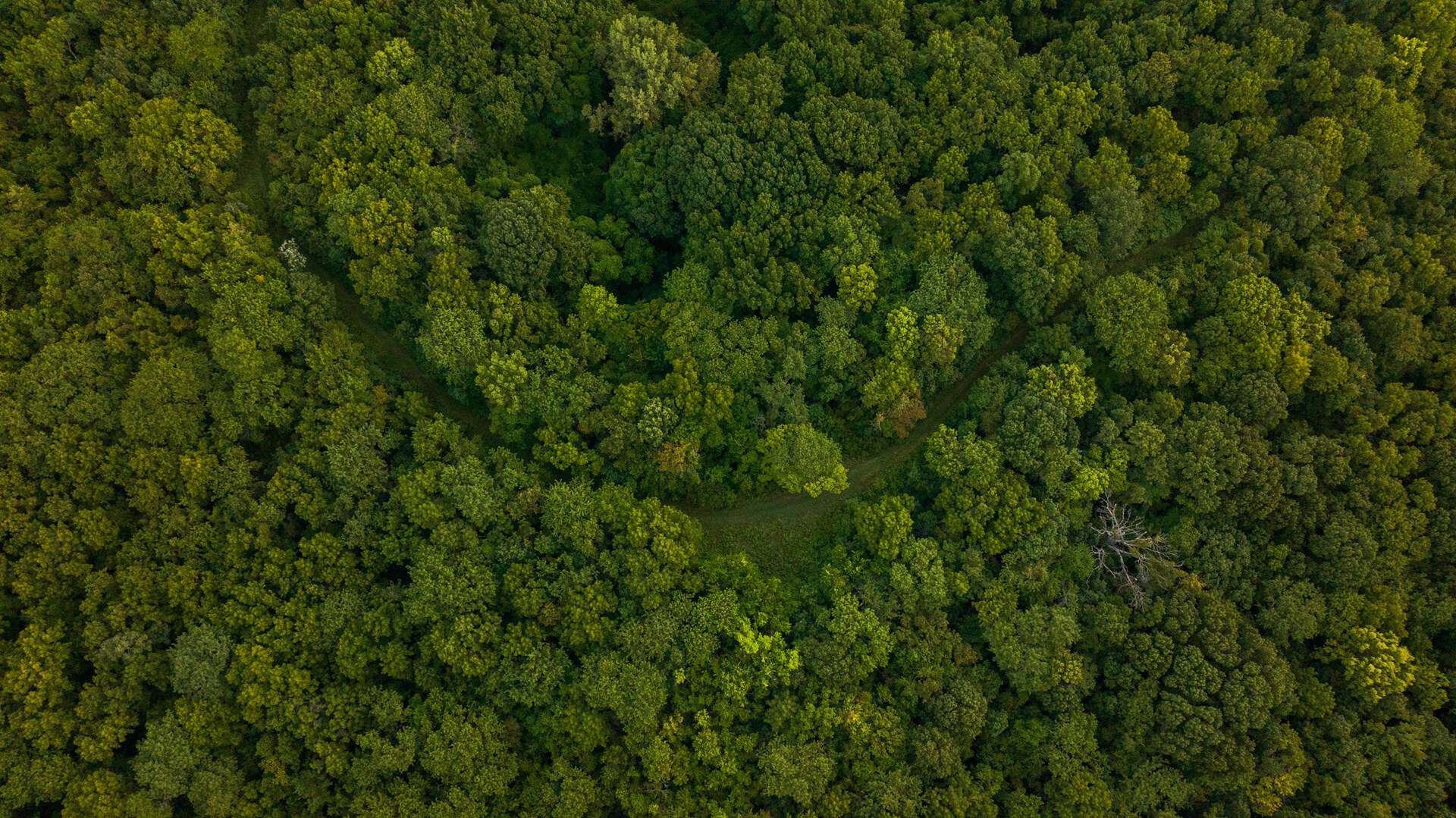 Missouri River Bluffs 46.67 Acres
