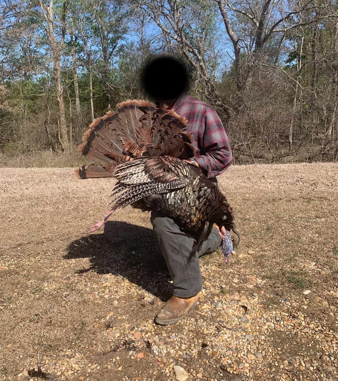 Premier Hunting Property for Sale on Mississippi River