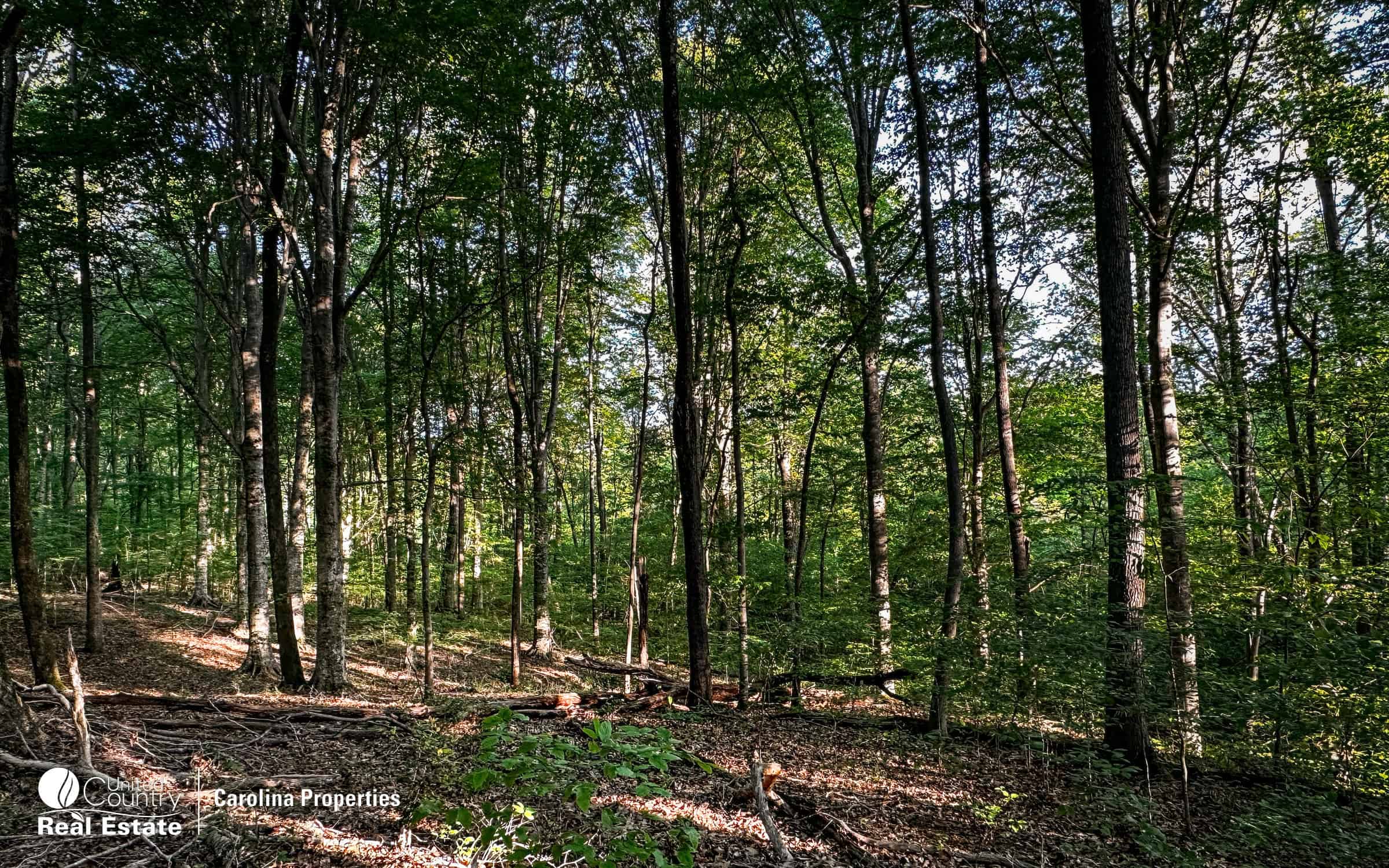 Rural Acreage and Homesite in Davie County NC