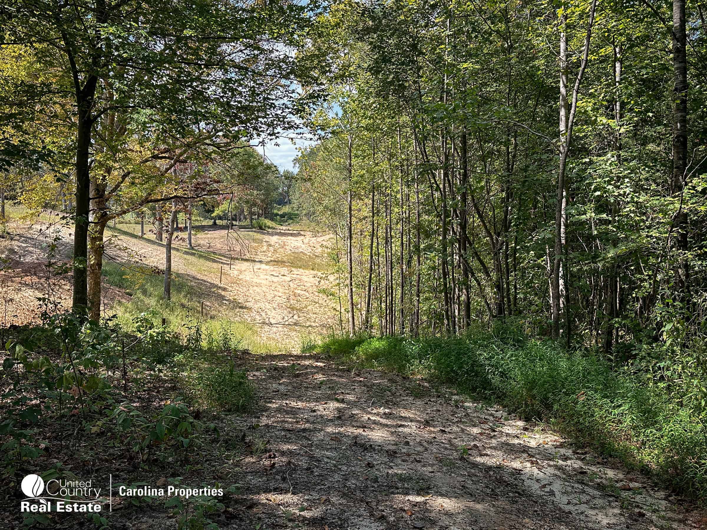 Rural Acreage and Homesite in Davie County NC