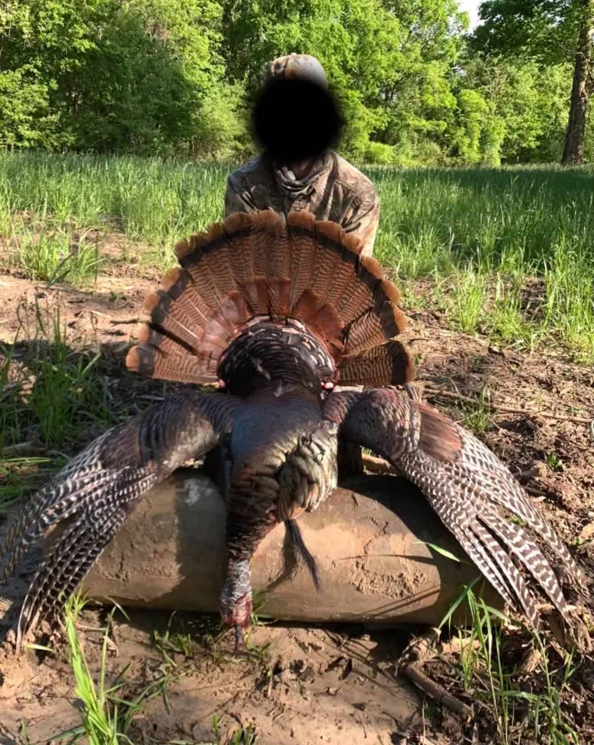 Premier Hunting Property for Sale on Mississippi River