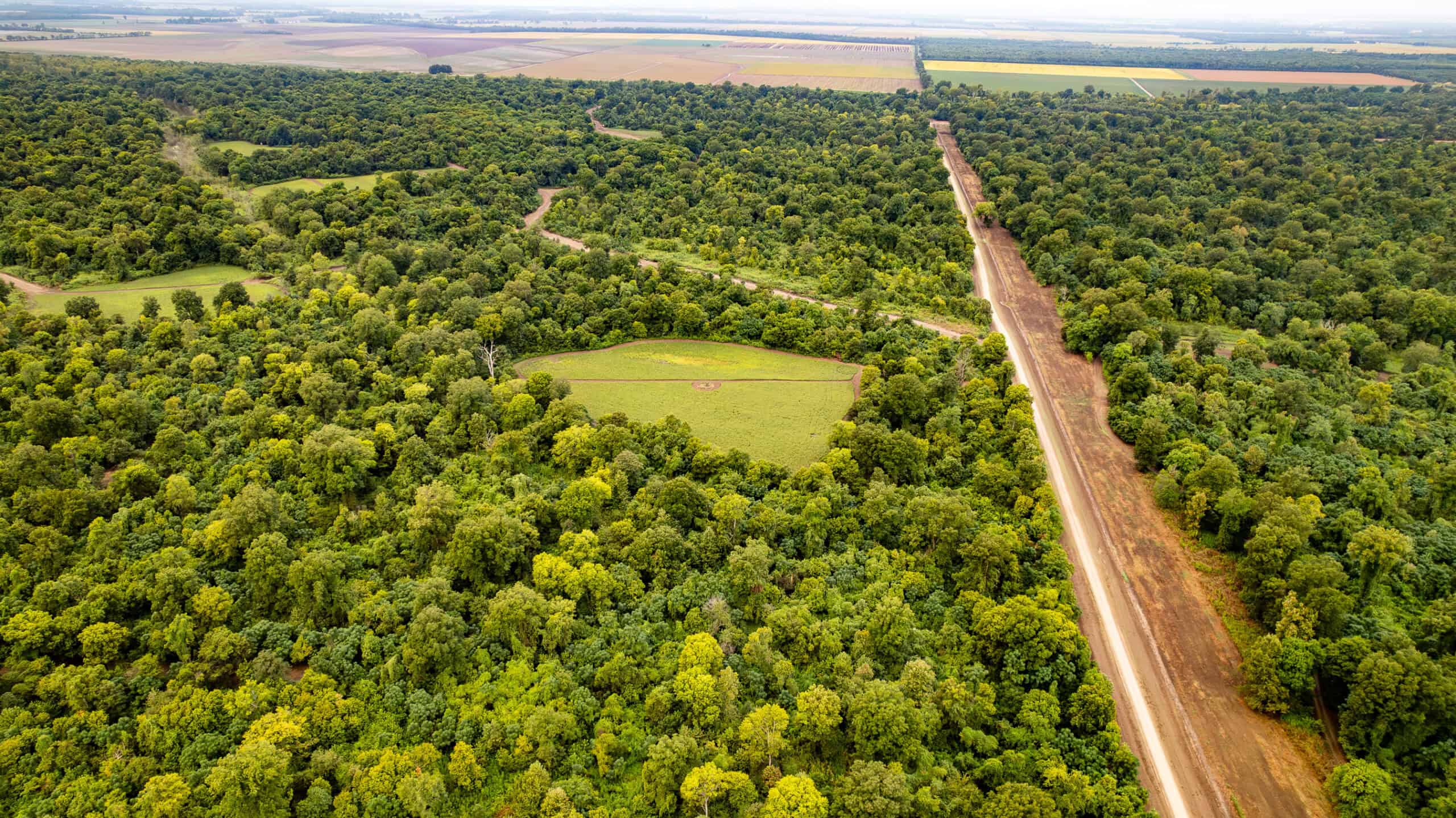 Premier Hunting Property for Sale on Mississippi River