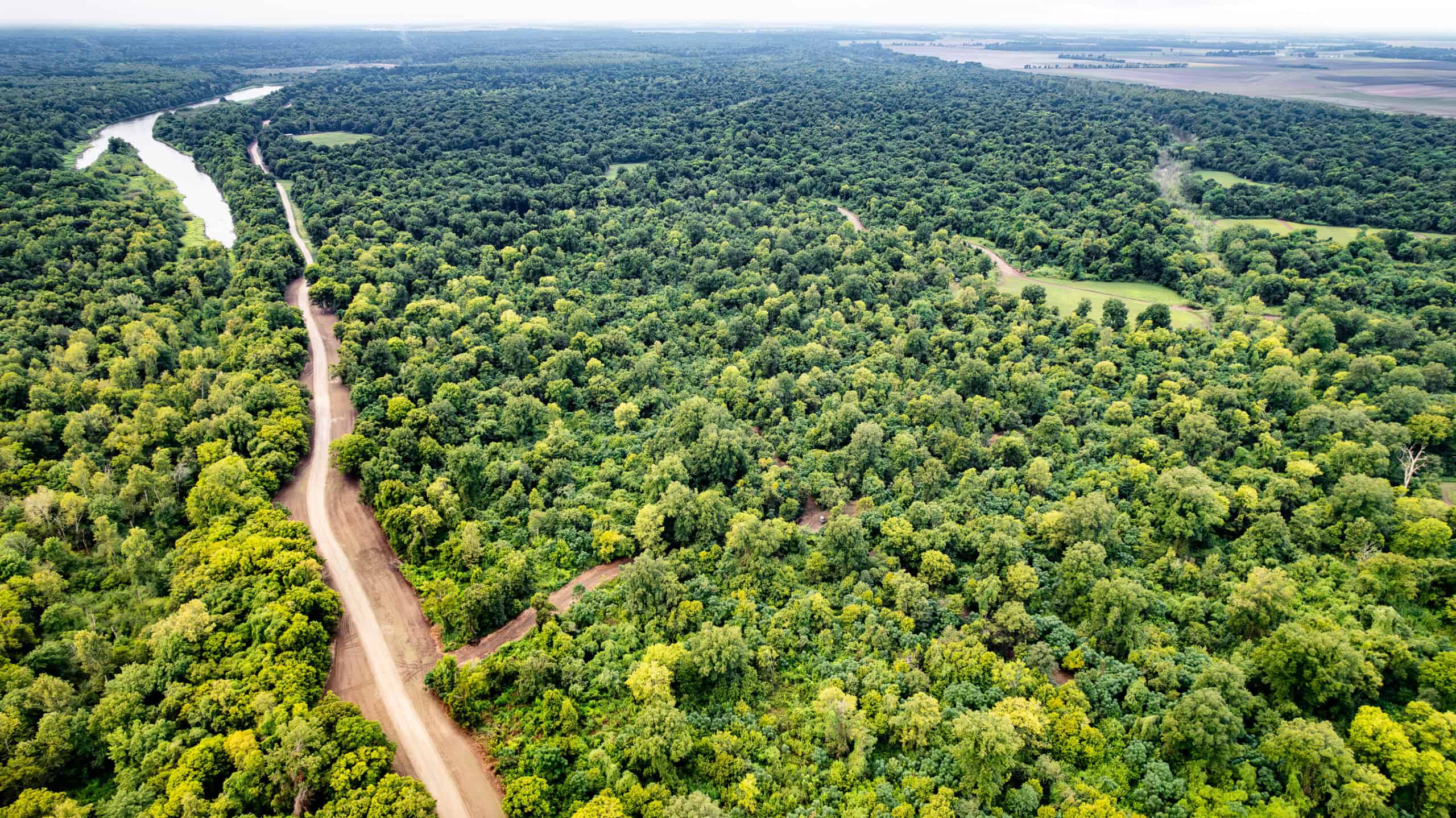Premier Hunting Property for Sale on Mississippi River