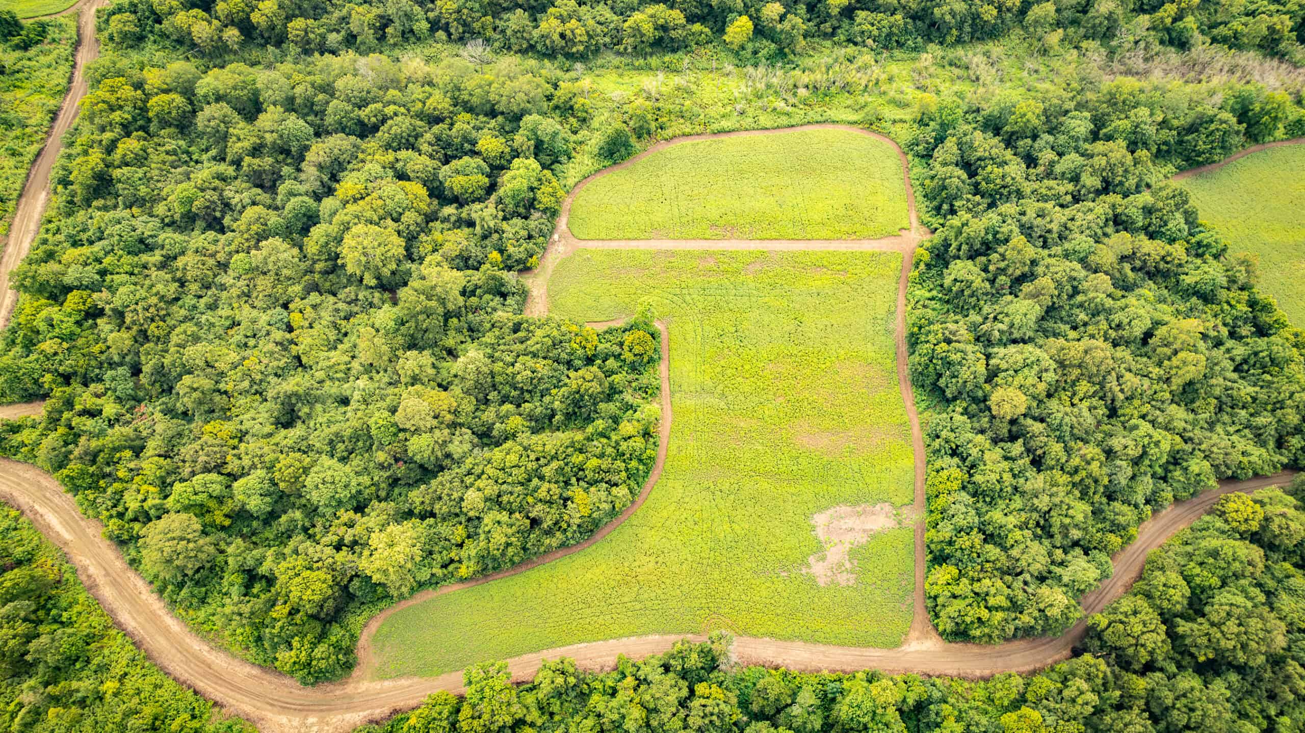 Premier Hunting Property for Sale on Mississippi River