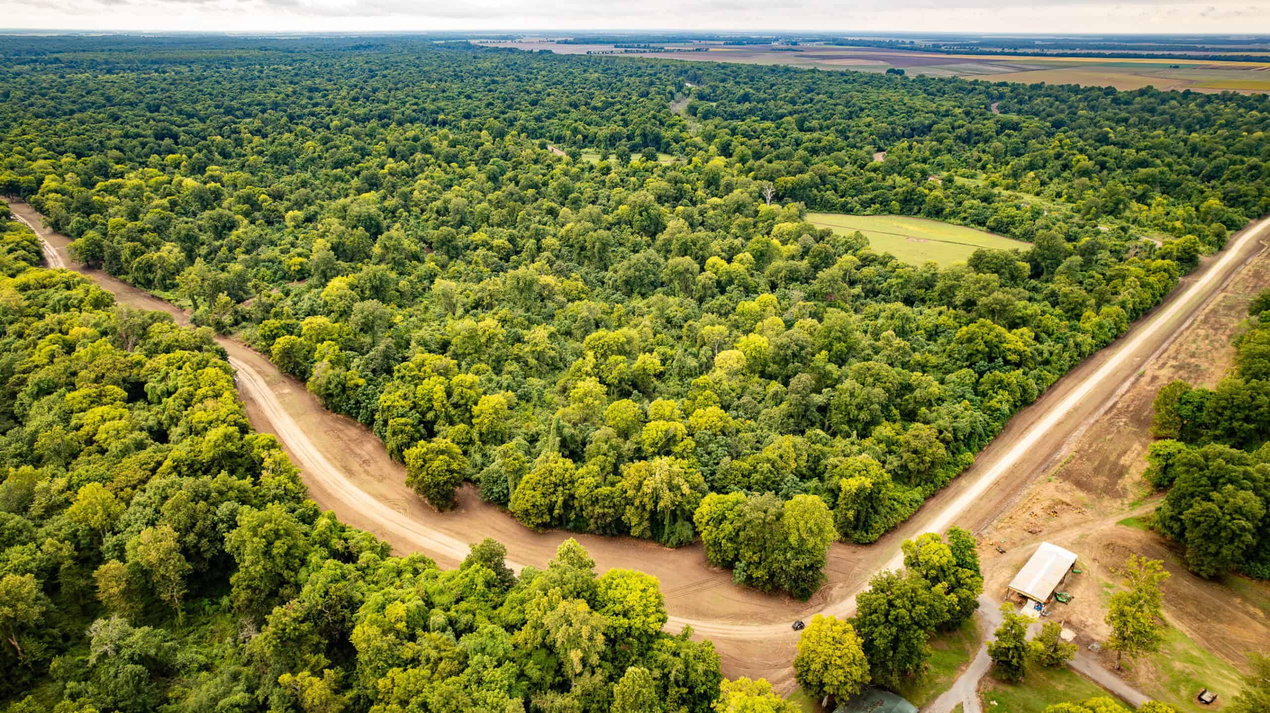 Premier Hunting Property for Sale on Mississippi River