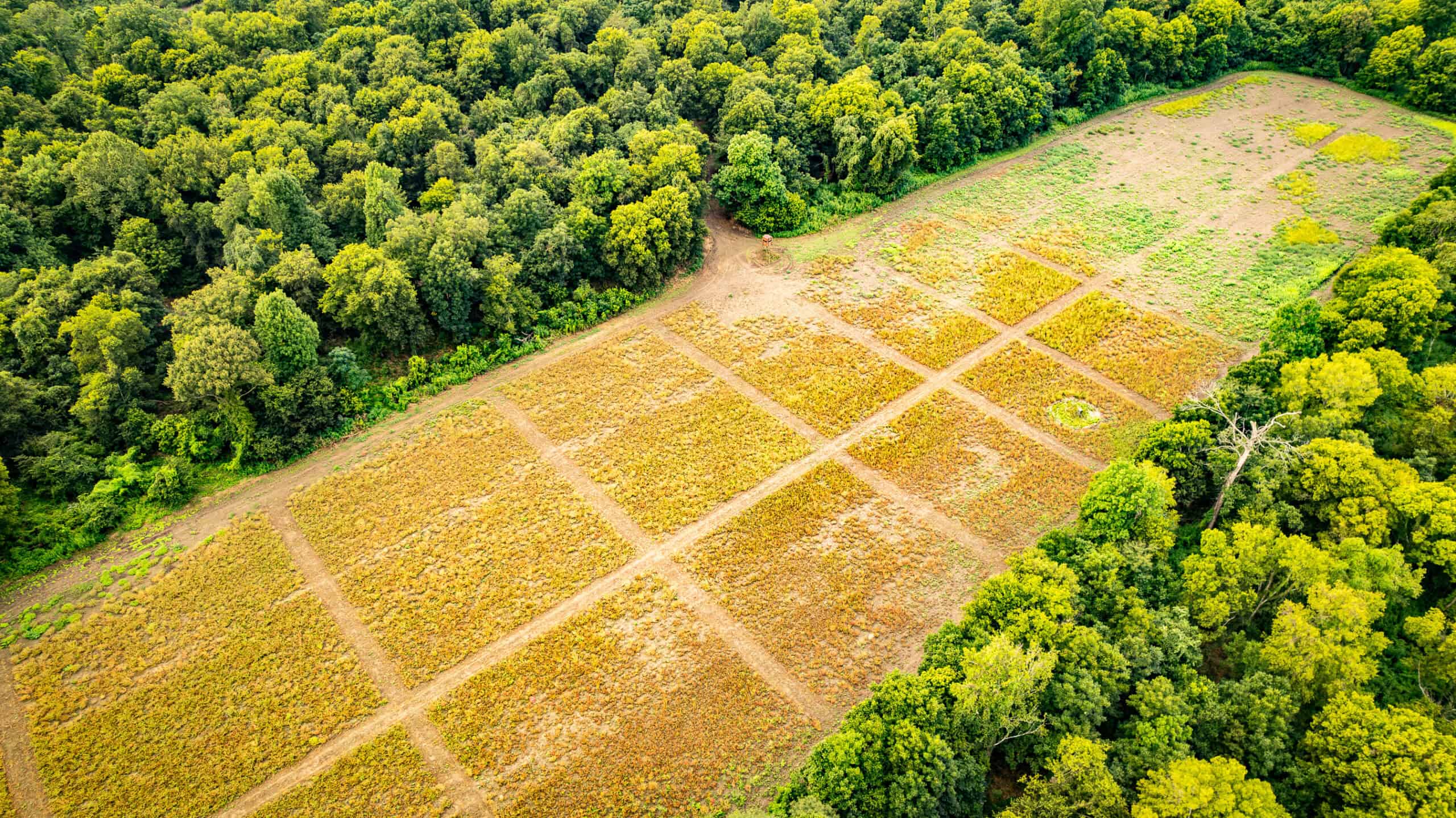 Premier Hunting Property for Sale on Mississippi River