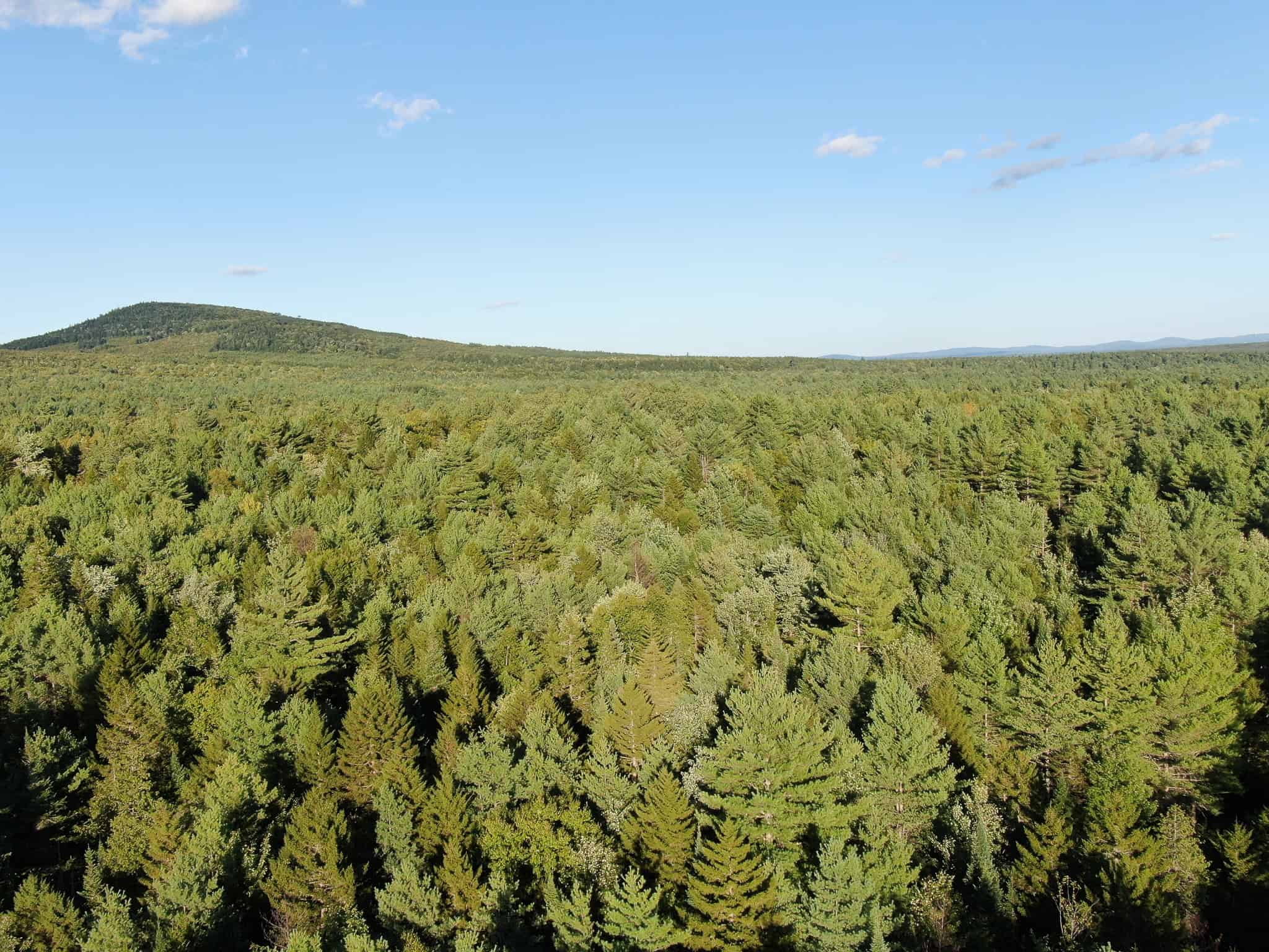 Off Grid Land Big Timber