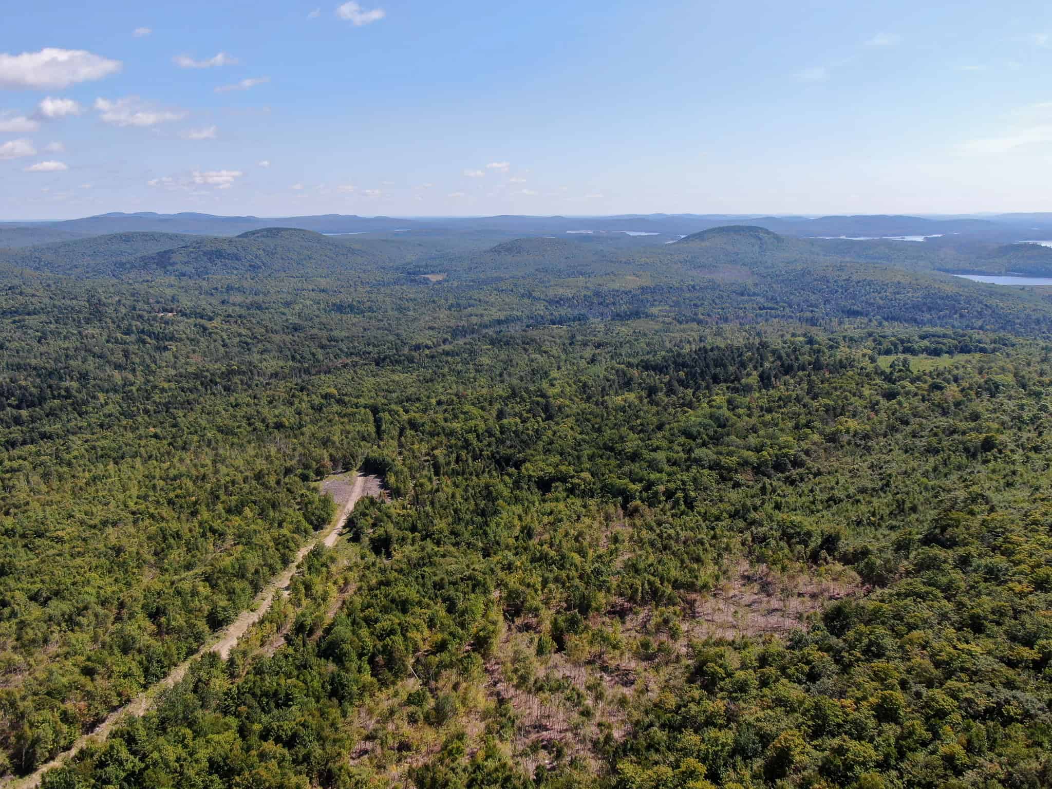 575 Acres Mountain – Brooks – Hardwoods