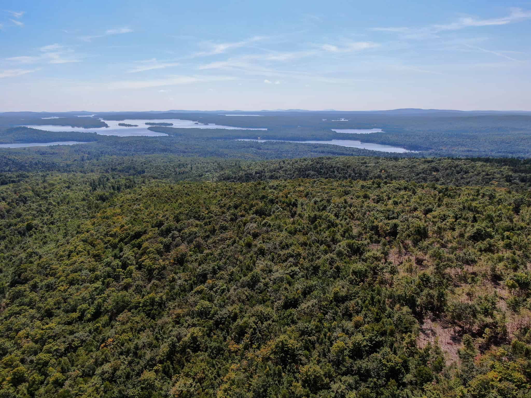 575 Acres Mountain – Brooks – Hardwoods