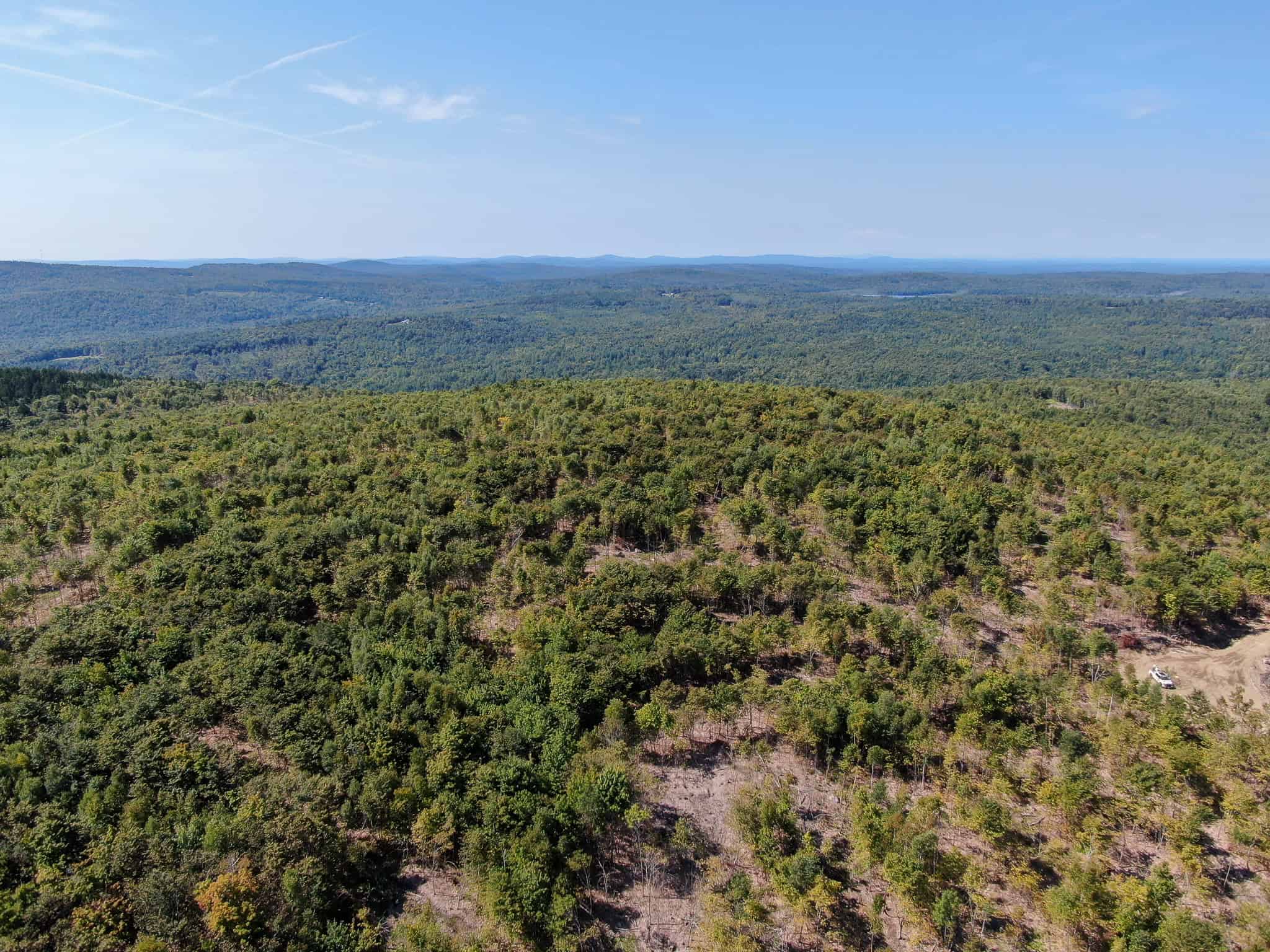 575 Acres Mountain – Brooks – Hardwoods