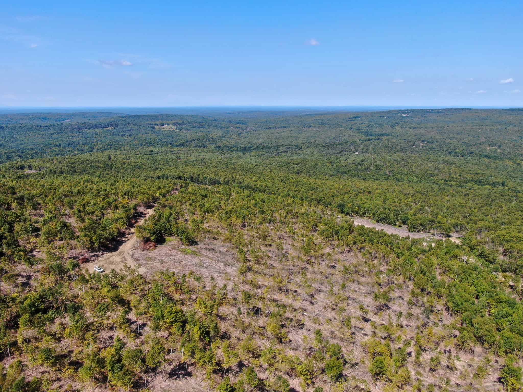 575 Acres Mountain – Brooks – Hardwoods