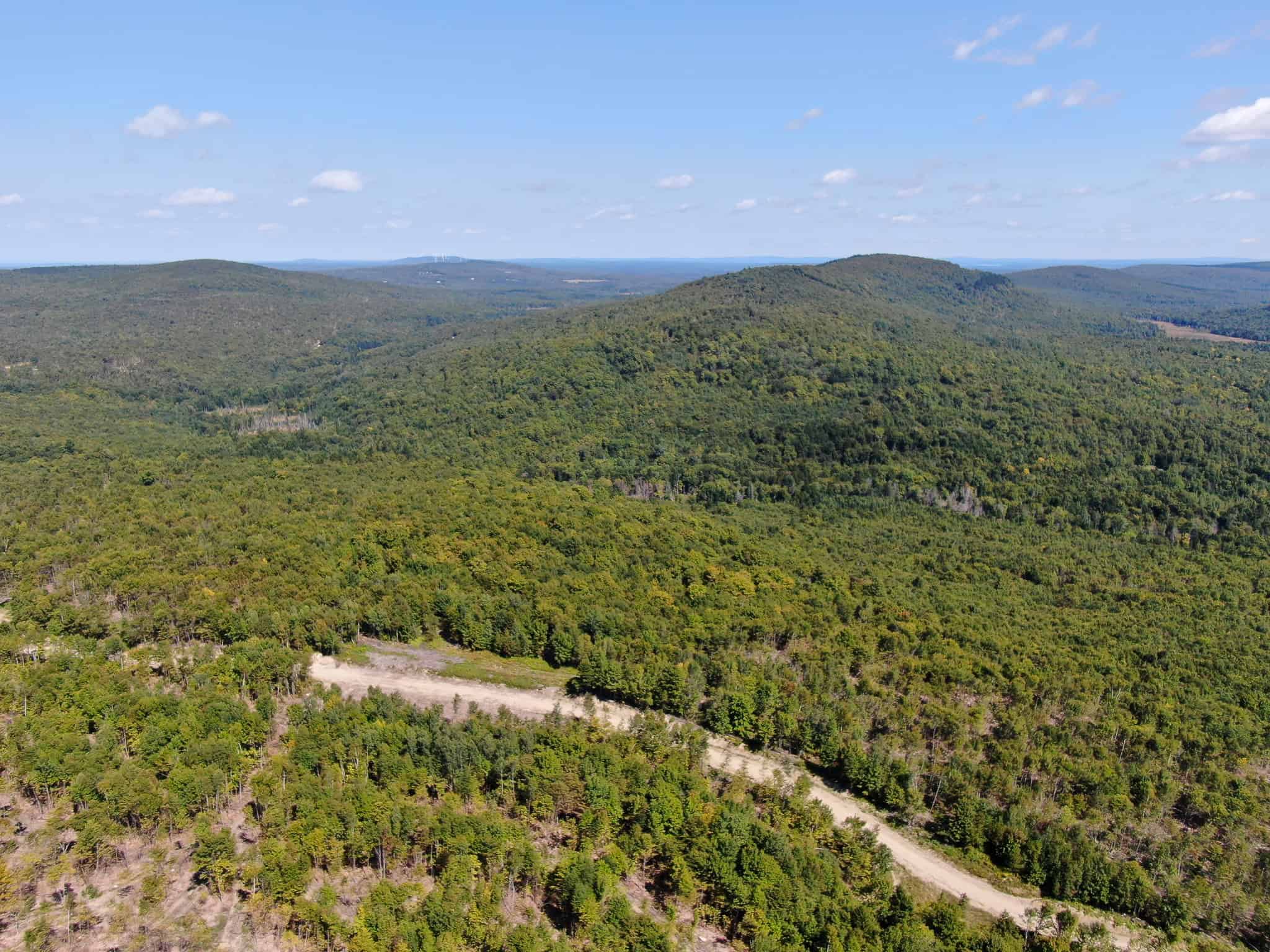 575 Acres Mountain – Brooks – Hardwoods