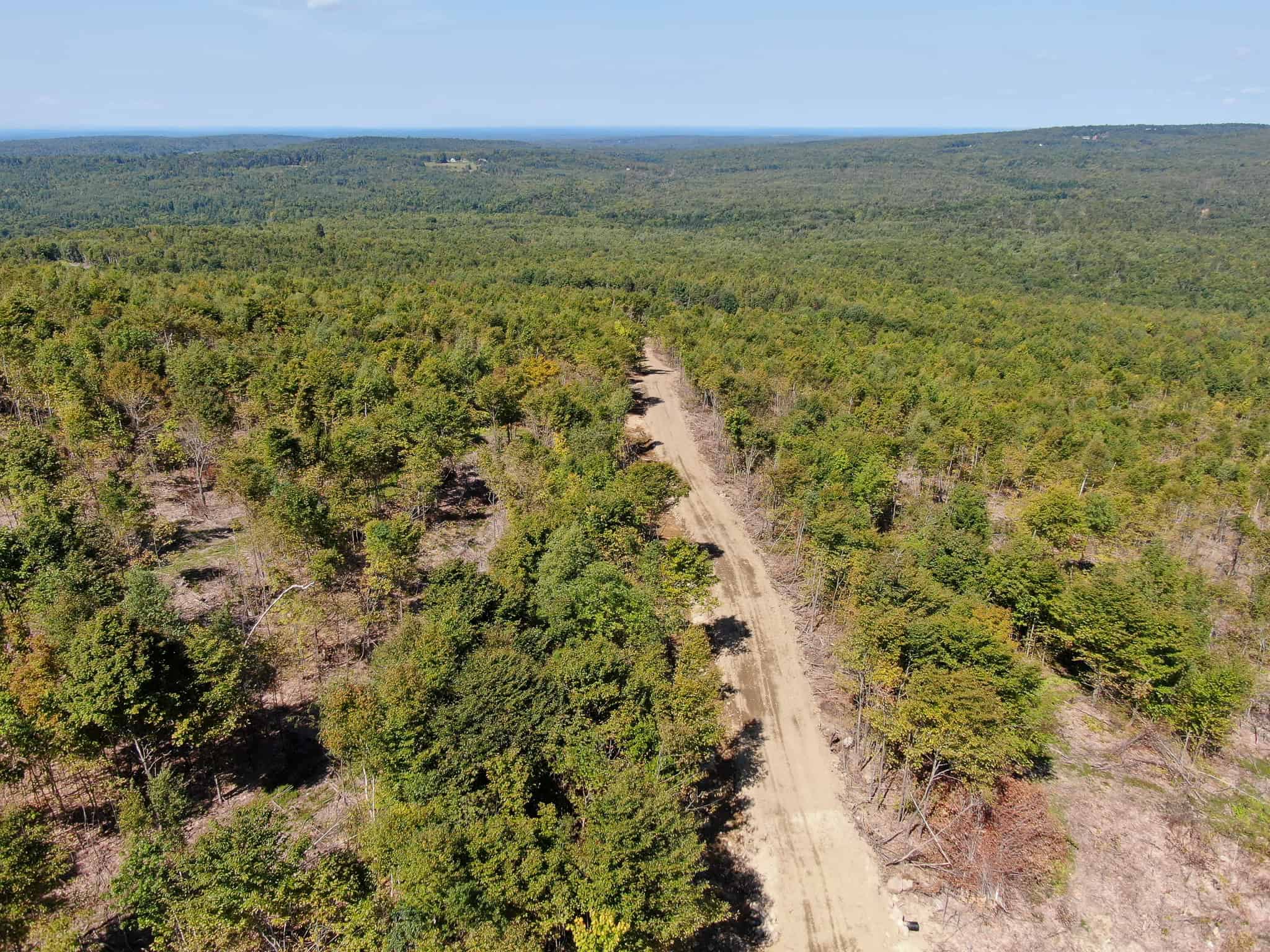 575 Acres Mountain – Brooks – Hardwoods