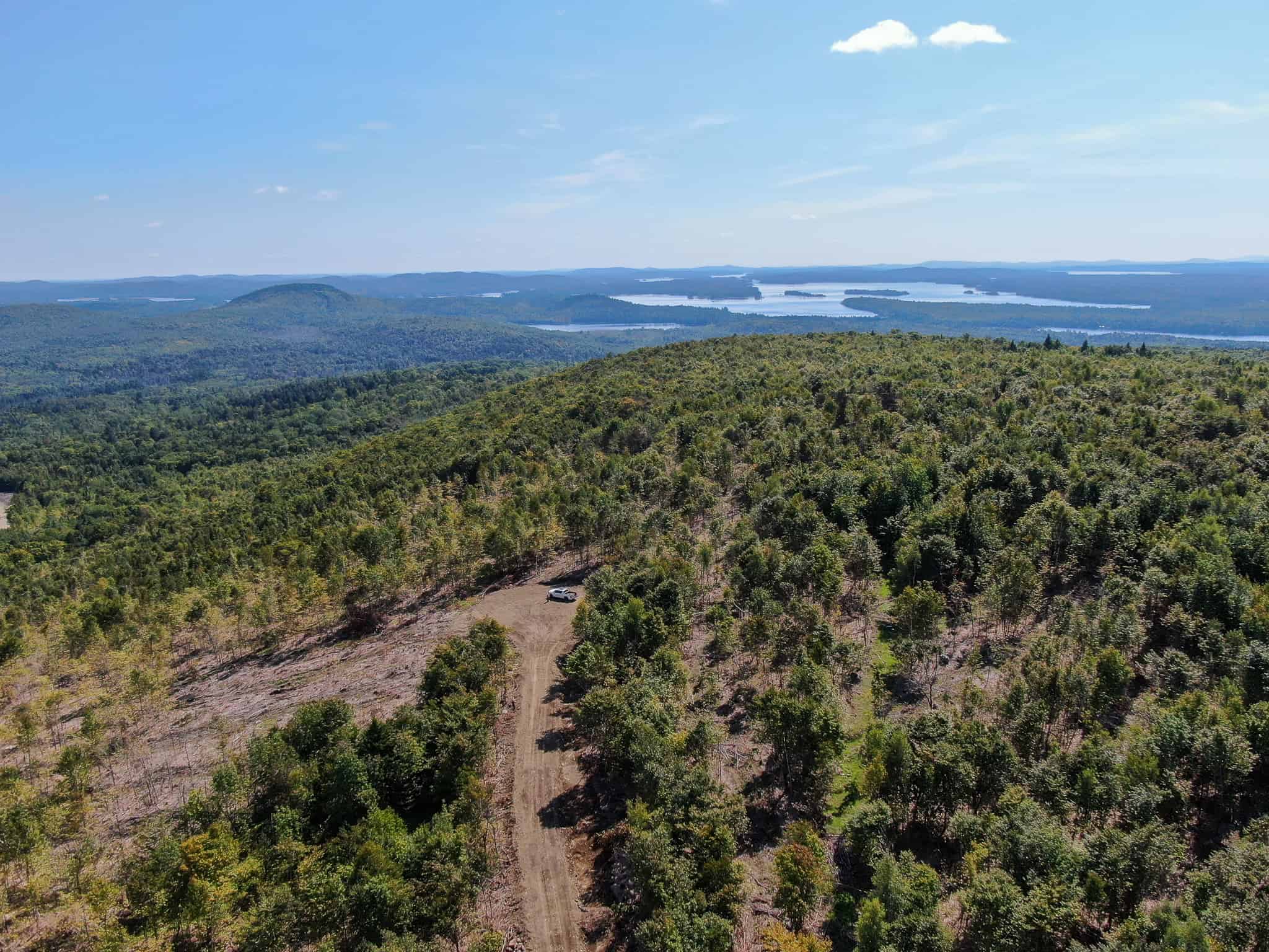 575 Acres Mountain – Brooks – Hardwoods