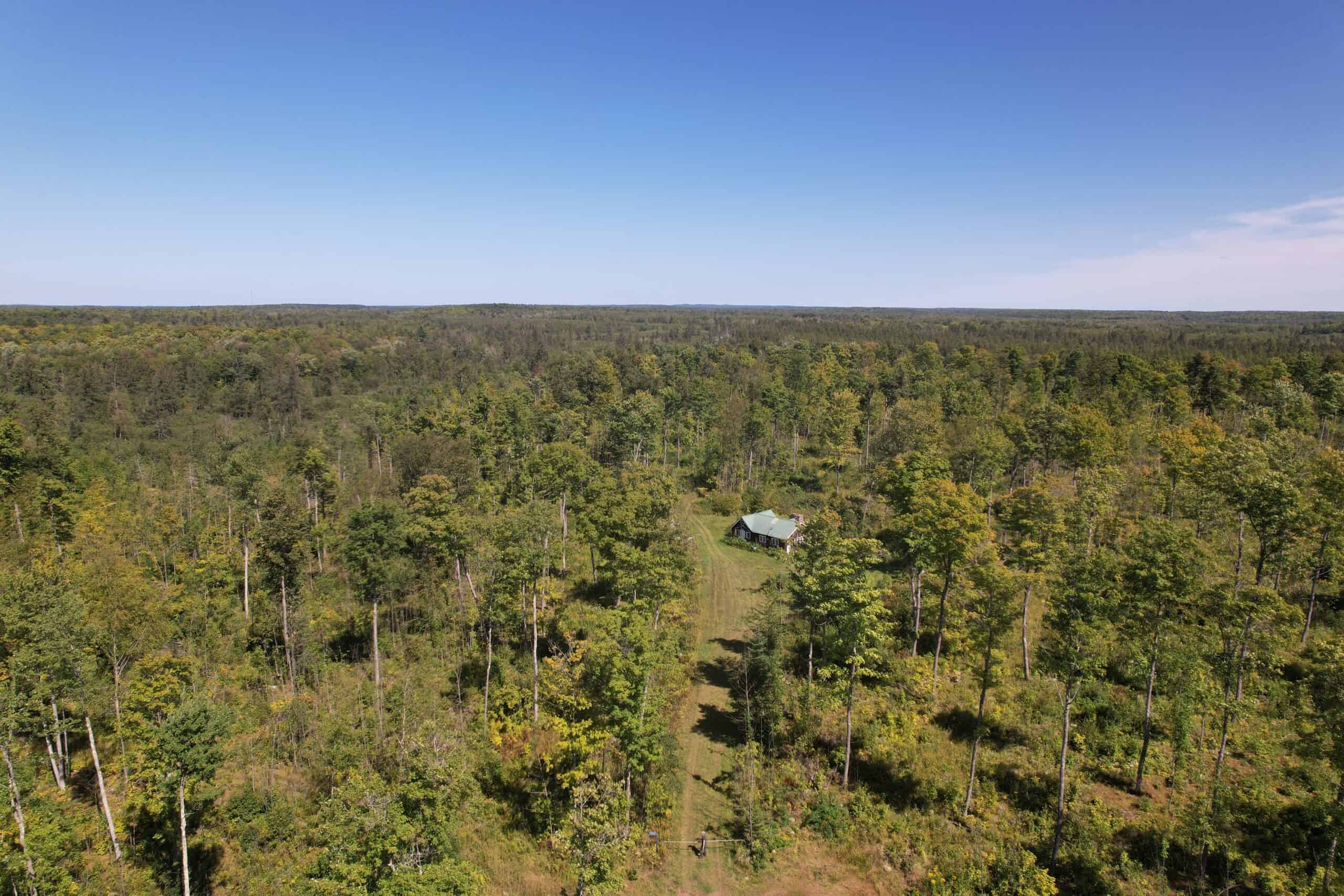 40 ± Acres For Sale in Glidden, Wisconsin