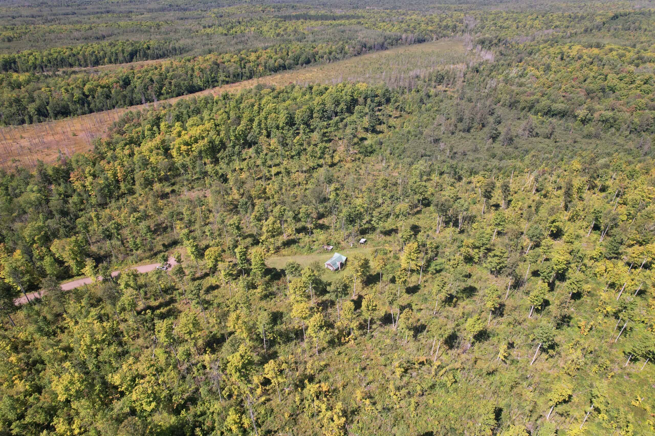 40 ± Acres For Sale in Glidden, Wisconsin