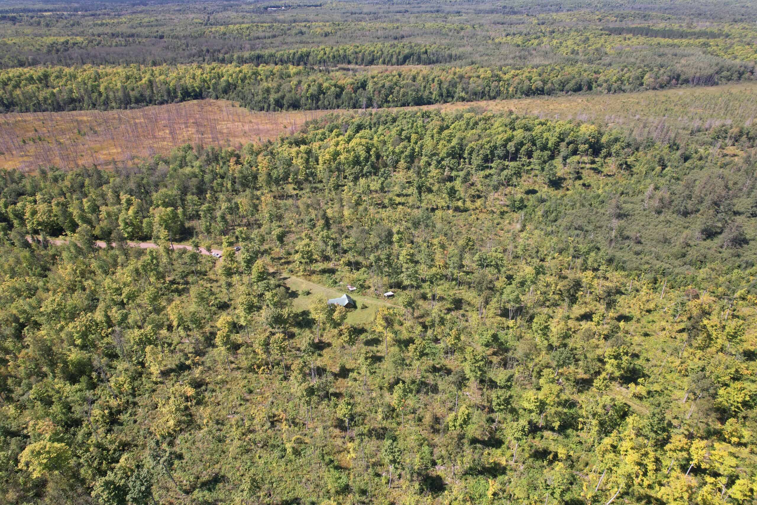 40 ± Acres For Sale in Glidden, Wisconsin