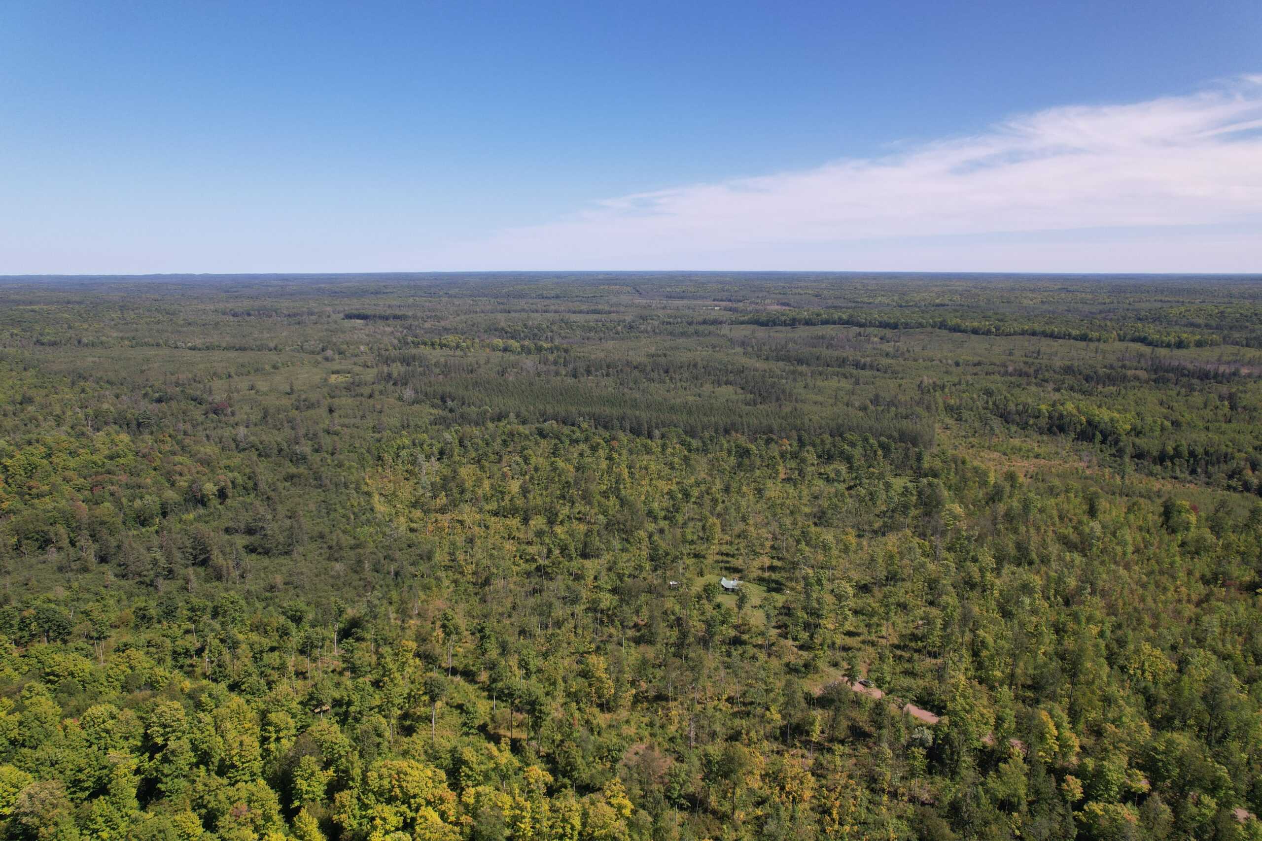 40 ± Acres For Sale in Glidden, Wisconsin