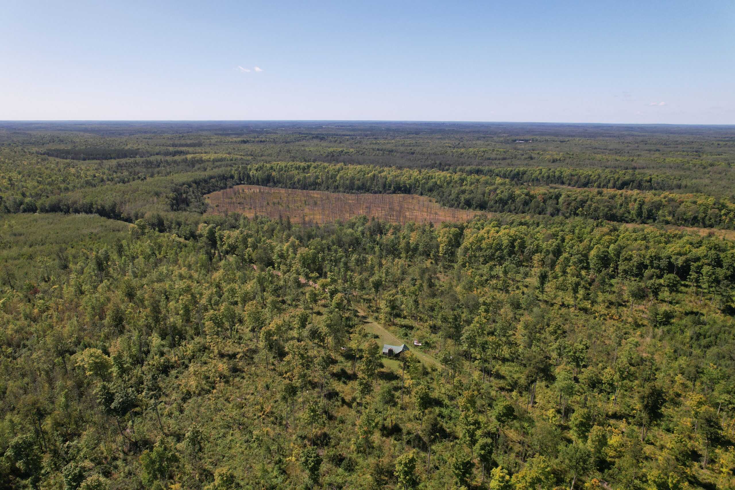 40 ± Acres For Sale in Glidden, Wisconsin