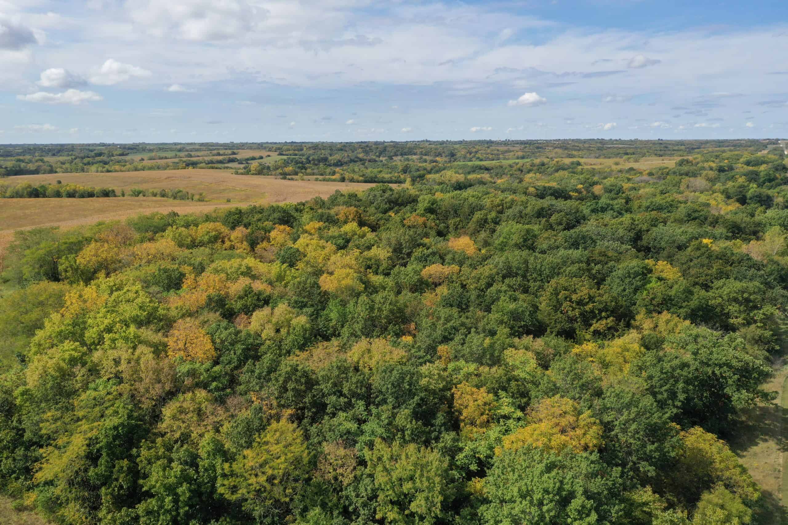 Combination Farm For Sale