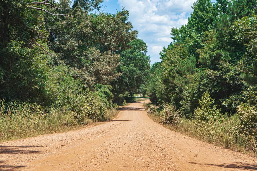 Downsville 85 – Union Parish Timberland for Sale