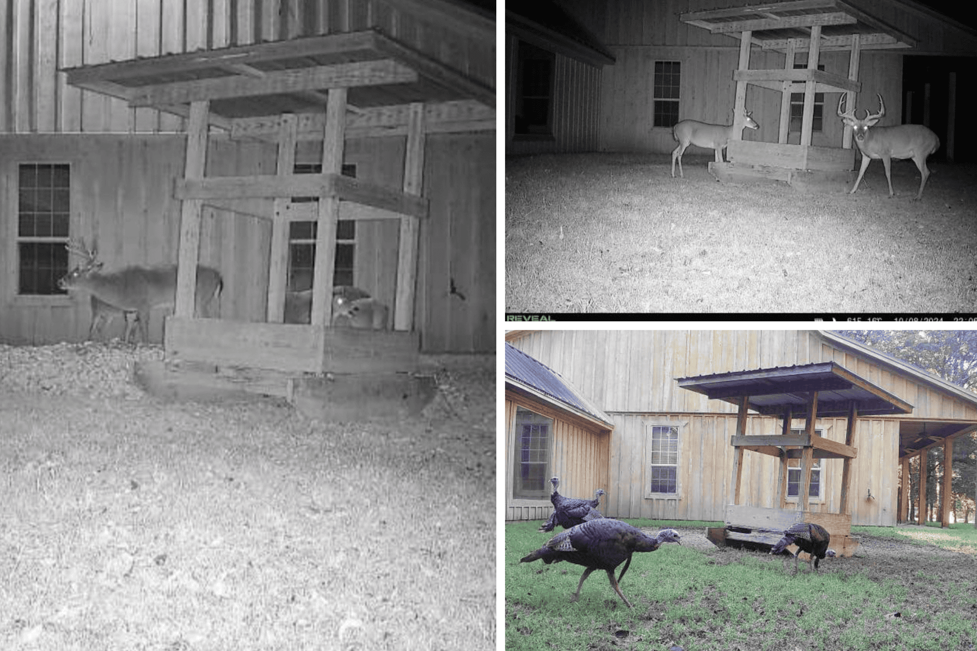 Premier Hunting Property for Sale on Mississippi River