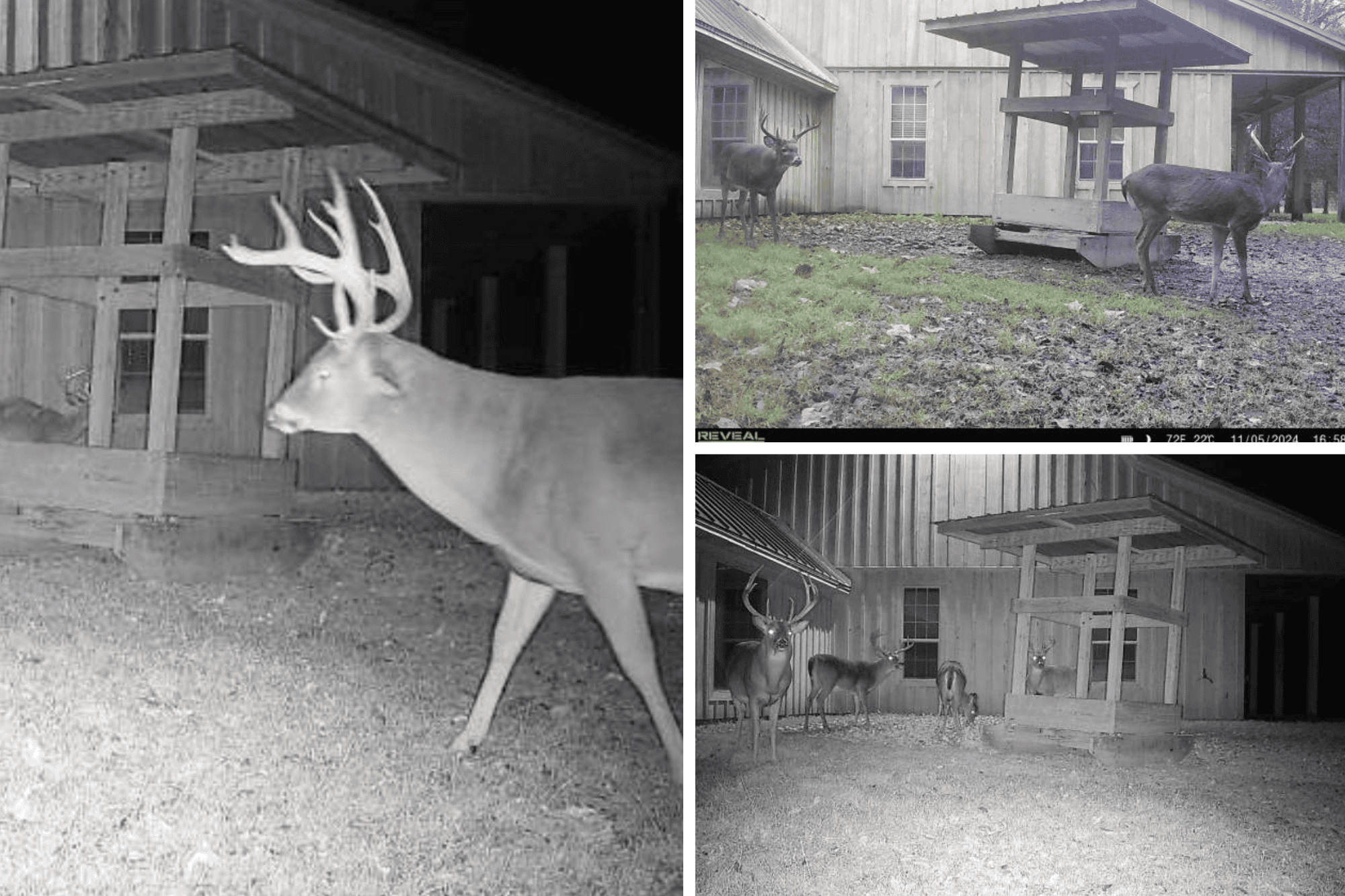 Premier Hunting Property for Sale on Mississippi River