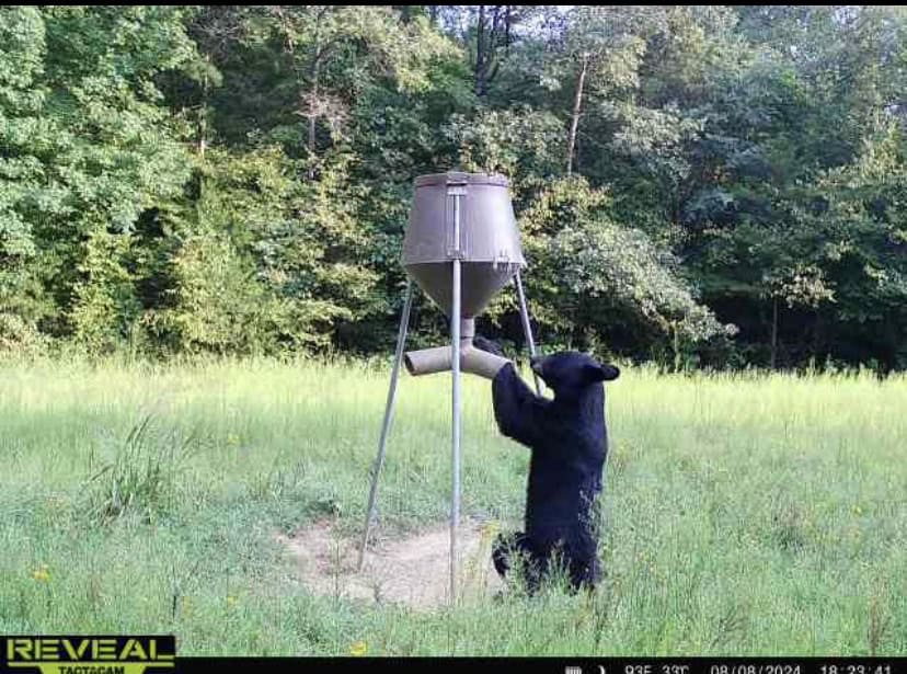 HUNTING, RECREATIONAL, AND FARMLAND FOR SALE IN ARKANSAS