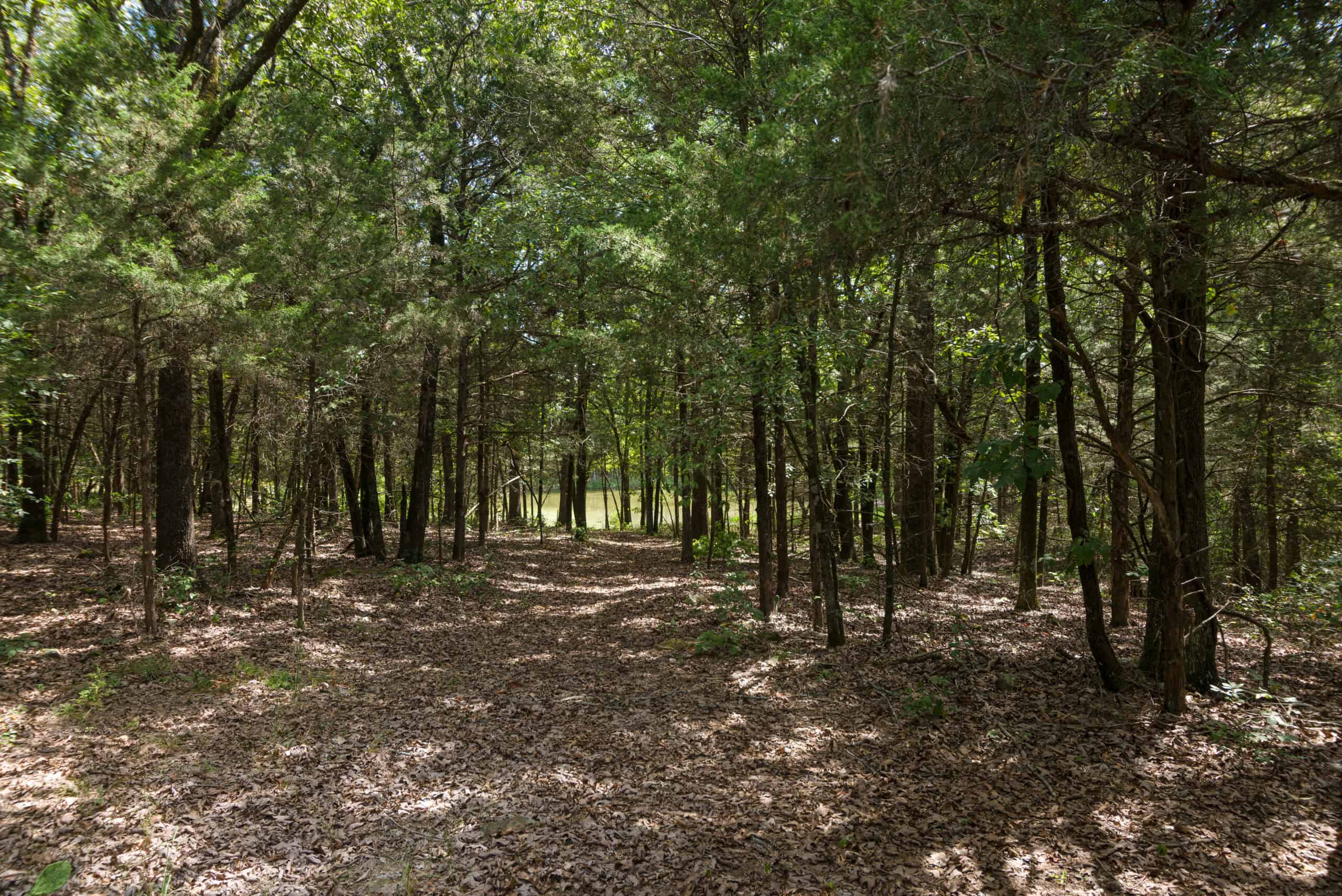 35 Acres Crawford Co AR Hunting Land For Sale