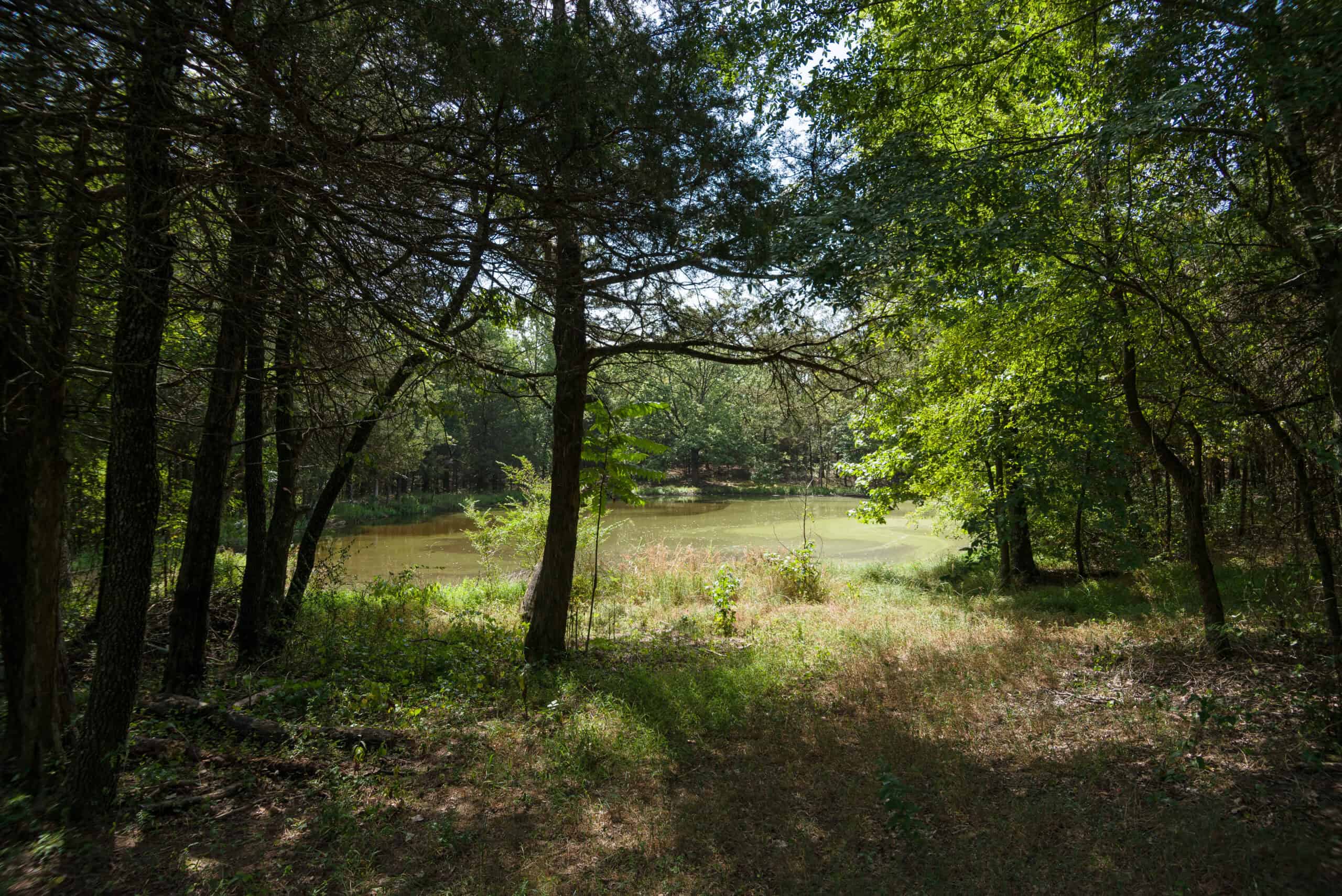 35 Acres Crawford Co AR Hunting Land For Sale