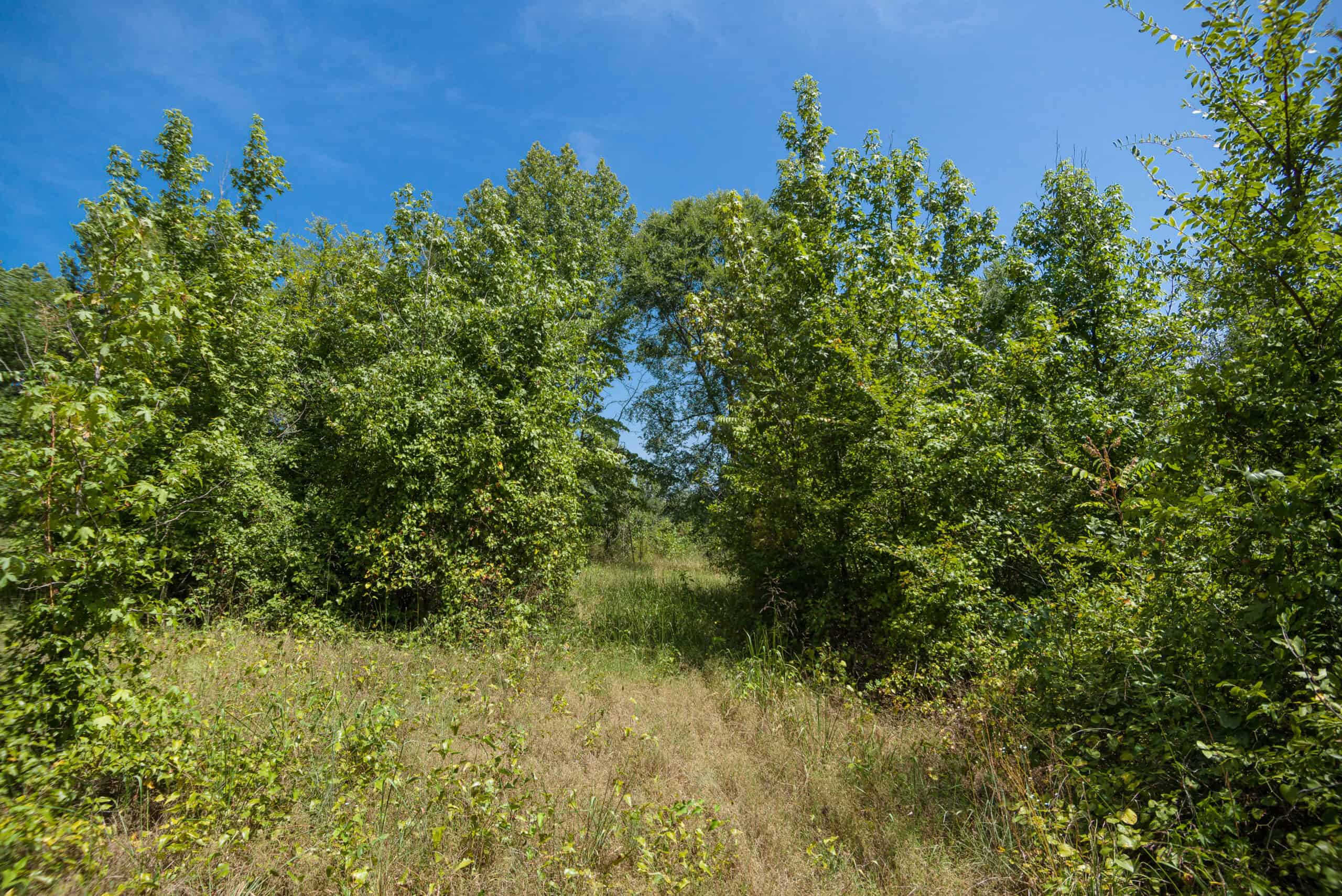 35 Acres Crawford Co AR Hunting Land For Sale