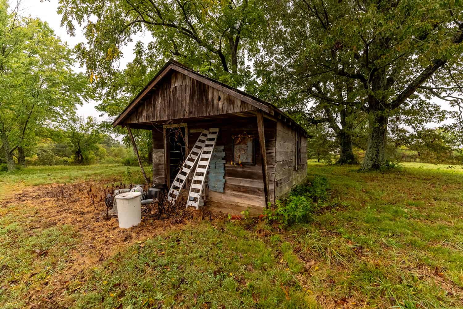 Shop House and 55 Wooded Acres in Oregon County Missouri