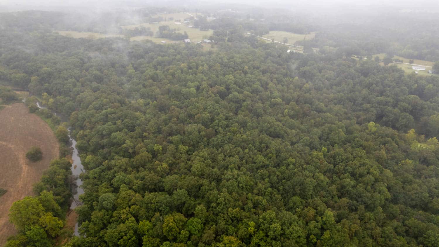 Shop House and 55 Wooded Acres in Oregon County Missouri